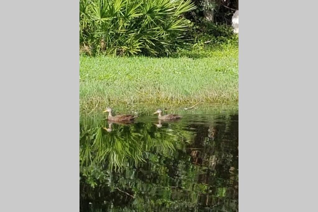 Bonita Oasis Villa Bonita Springs Bagian luar foto