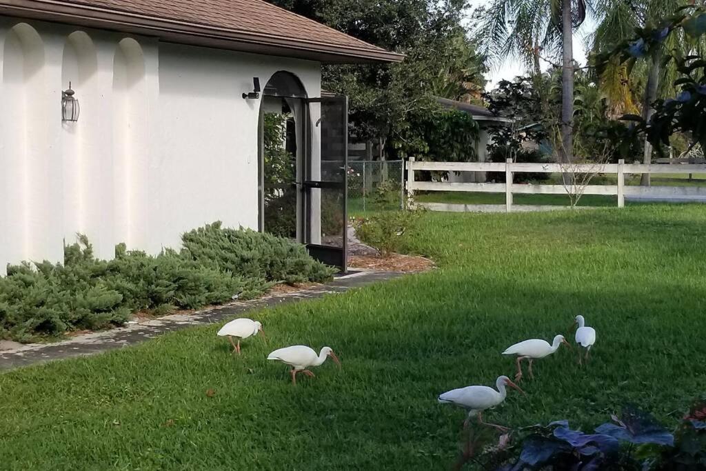 Bonita Oasis Villa Bonita Springs Bagian luar foto